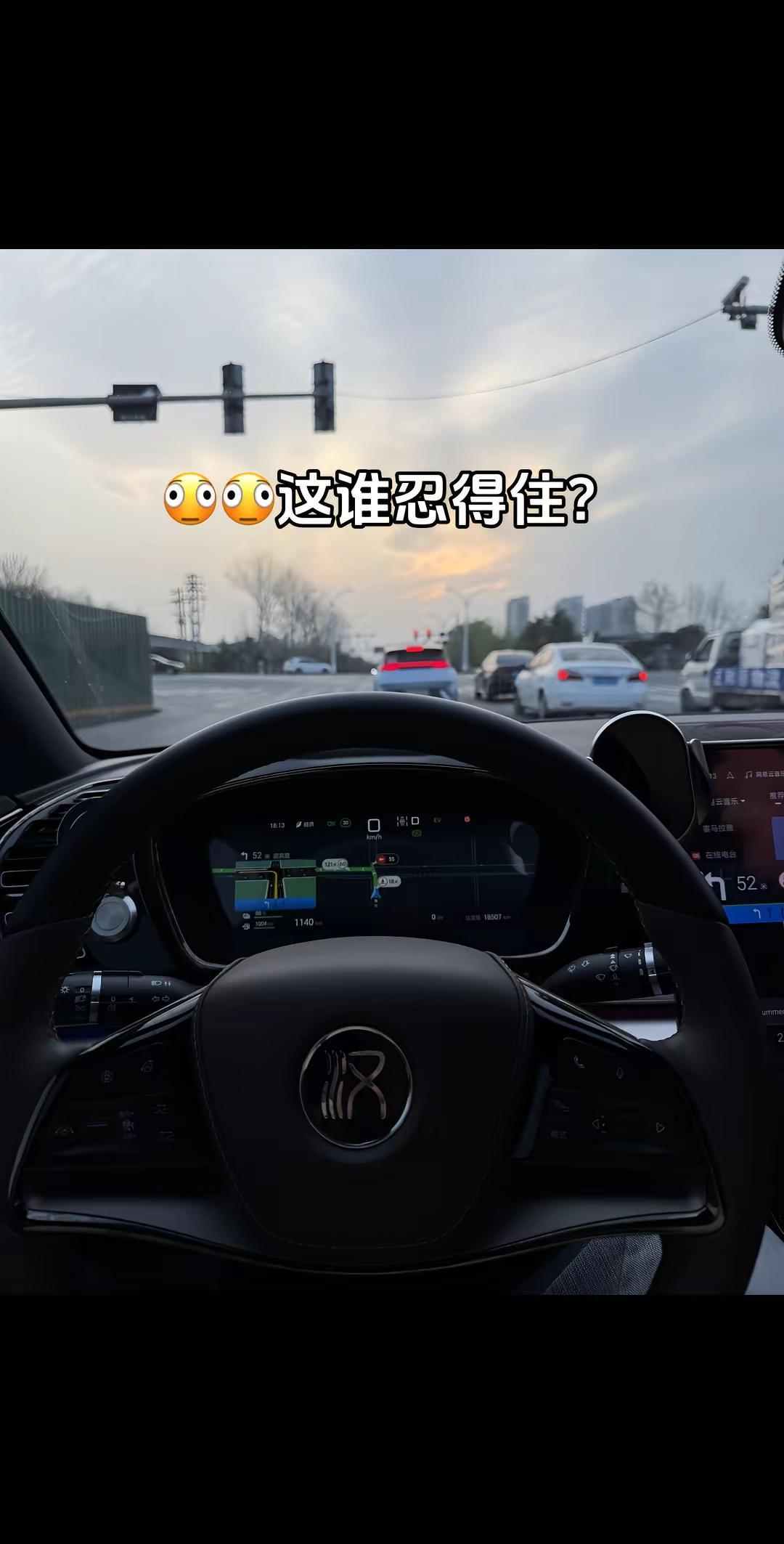 我也只是犯了每个比亚迪车主都会犯的错罢了🚗比亚迪汉 顺风车 比亚迪 dou是好