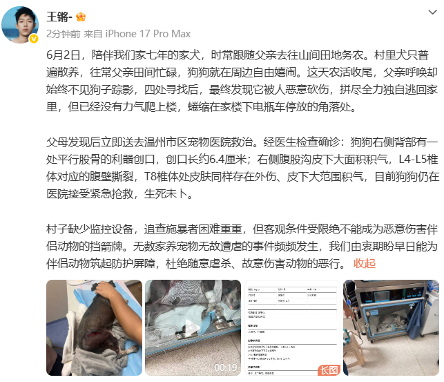 王锵的狗被人恶意砍伤王锵的狗被恶意砍伤 王锵家的狗被恶意砍伤，由衷期盼早日能为伴