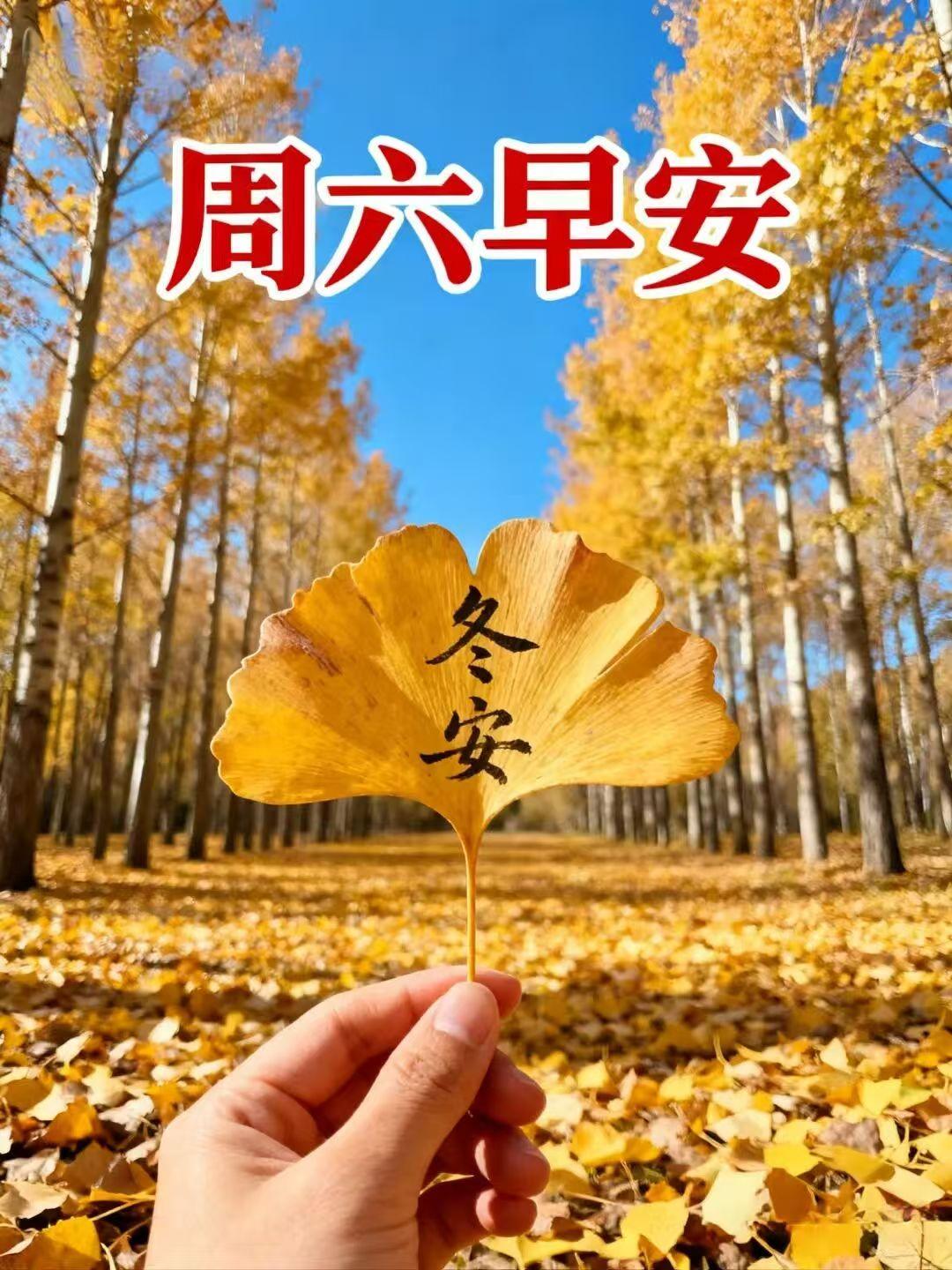 我們都在生活中，
渡過了風風雨雨，
在清晨的問候中，
送去了平平安安，
祝福中步