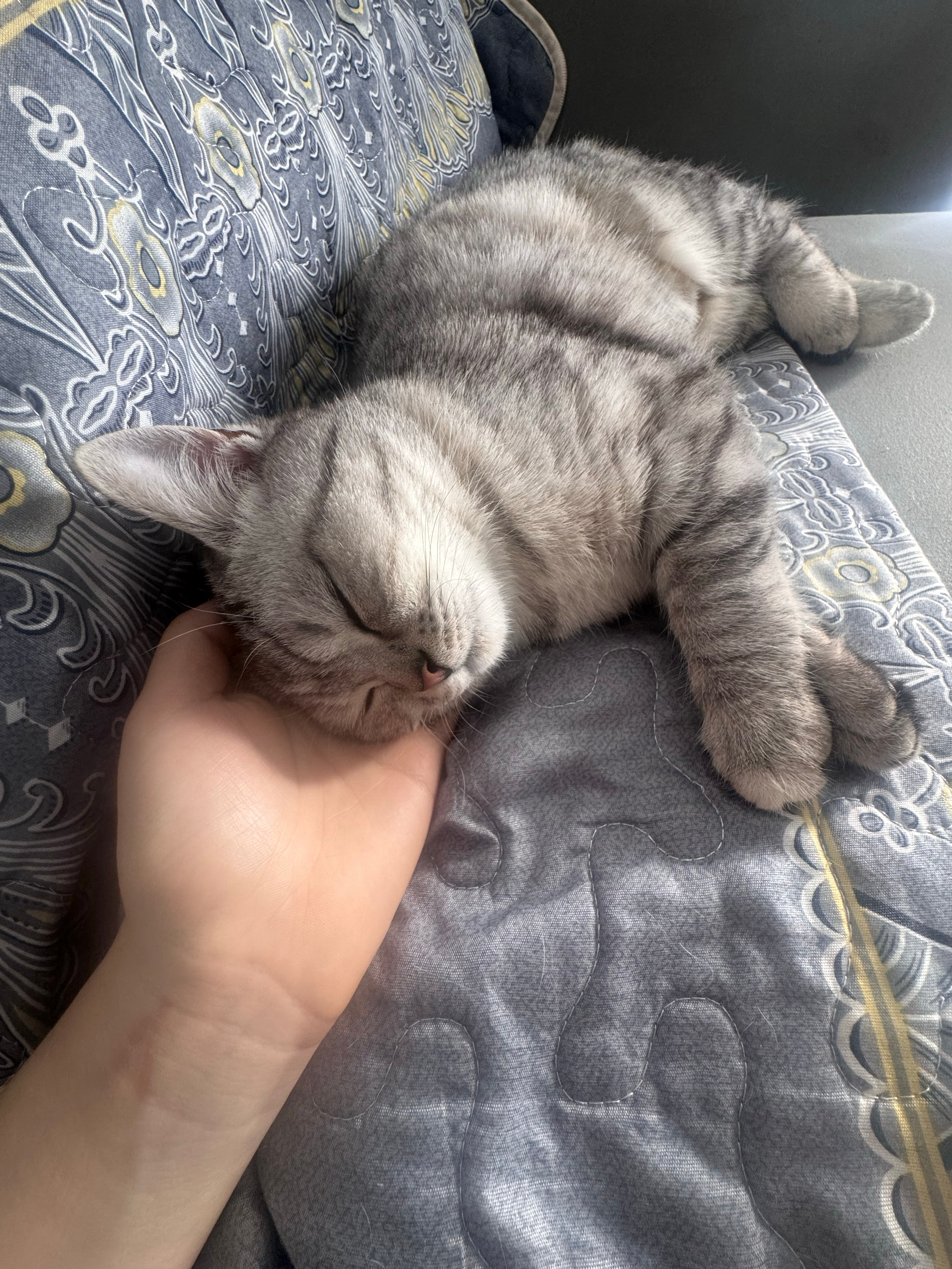 跟小宝宝有什么区别 