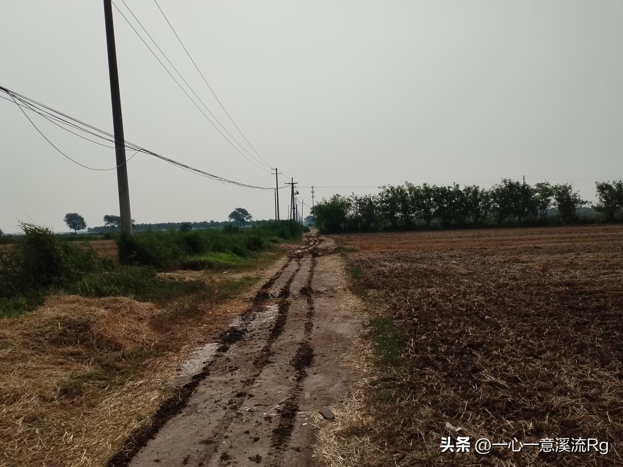 众友友早上好！
今天是6月19日星期五，日出时间4.45分，日落时间7.36分，
