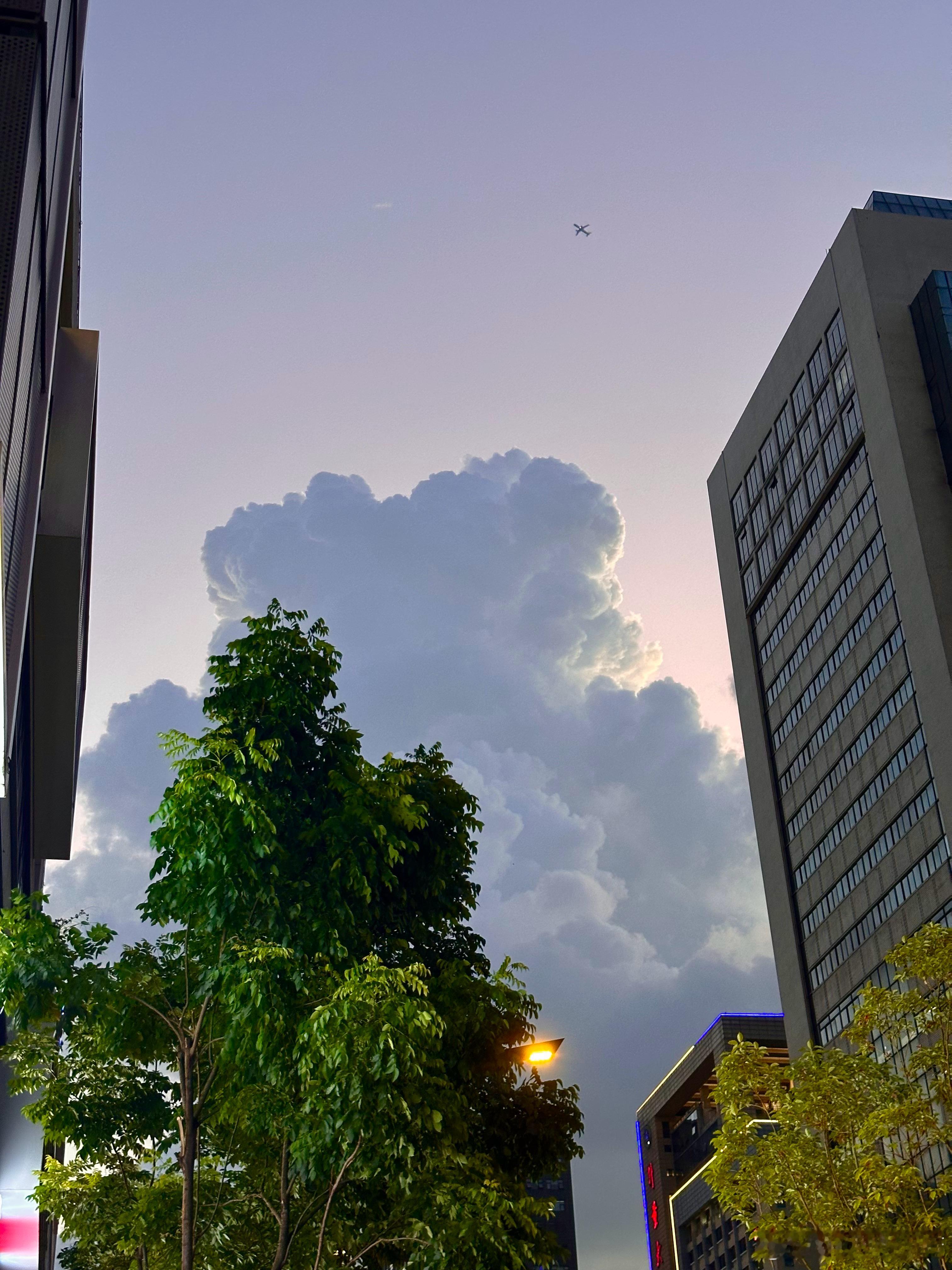 熊熊☁️！ 🐻太喜欢杭州的云咯 ​​​