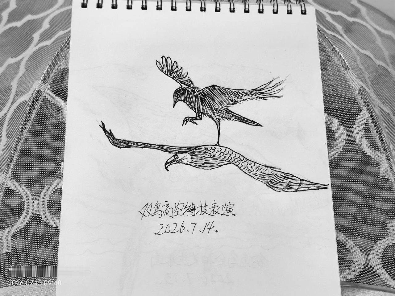 夏日生活打卡季高空特技表演：闲人爱动没事坚持每天绘画一张，今天的给画是双鸟高空特