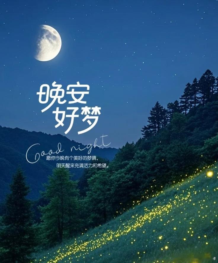 低谷期不要到处诉苦，不是因为没人会同情你，而是人生很多路，终究要靠自己走完。真正