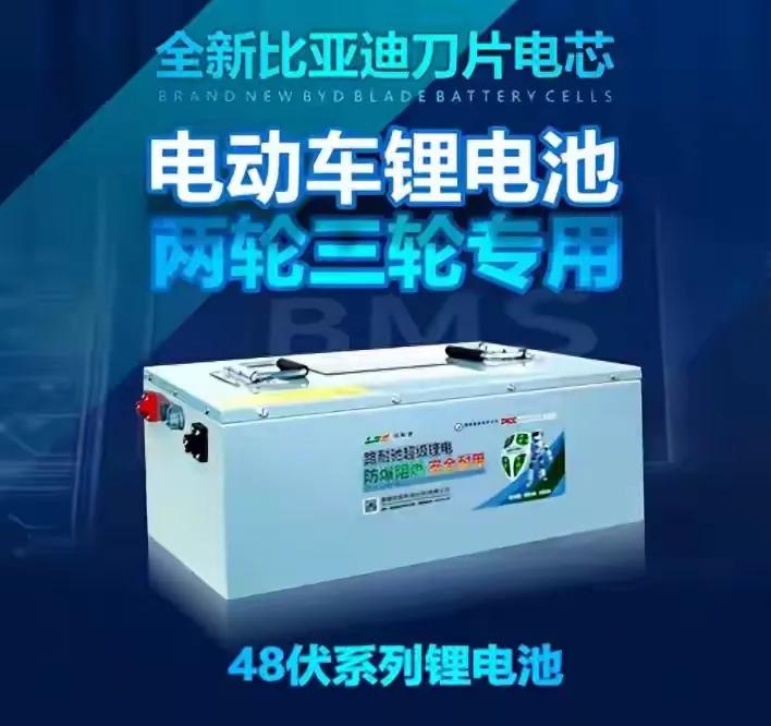 比亚迪两轮车电池“未发先火”，很多人关心价格划不划算和哪些车能换。其价格1159