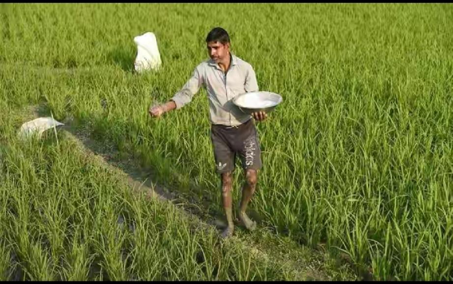 印度尿素招标为什么会流产？

有时候，你不得不能理解印度的脑回路，清新脱俗，标新