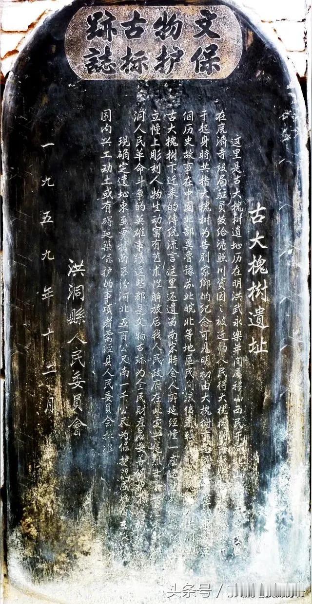 清明禁忌：女人不上坟？千年误解终于解开！
慎终追远，清明节是纪念先人、祭扫先烈的