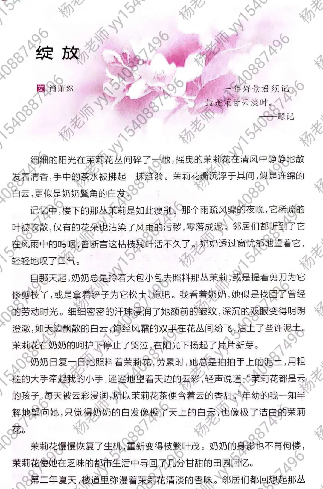 高分作文素材：绽放 祖辈+选择+自然感悟