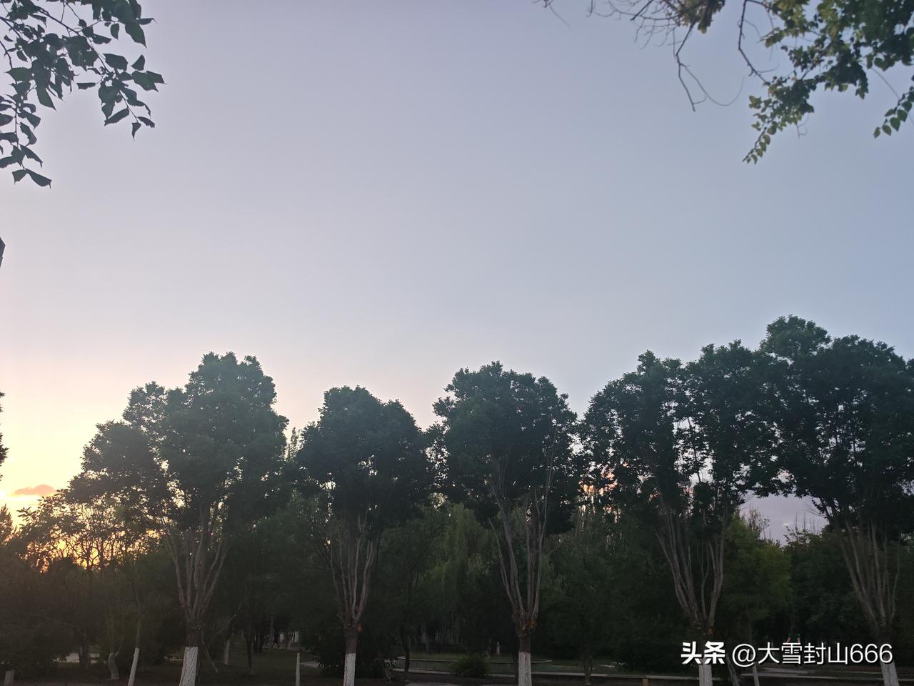 天天创作挑战赛