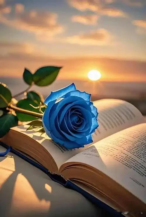 微信“朋友圈”，曾经红遍大江南北，每天都有数以亿计被无数双手不分昼夜敲打，简直成