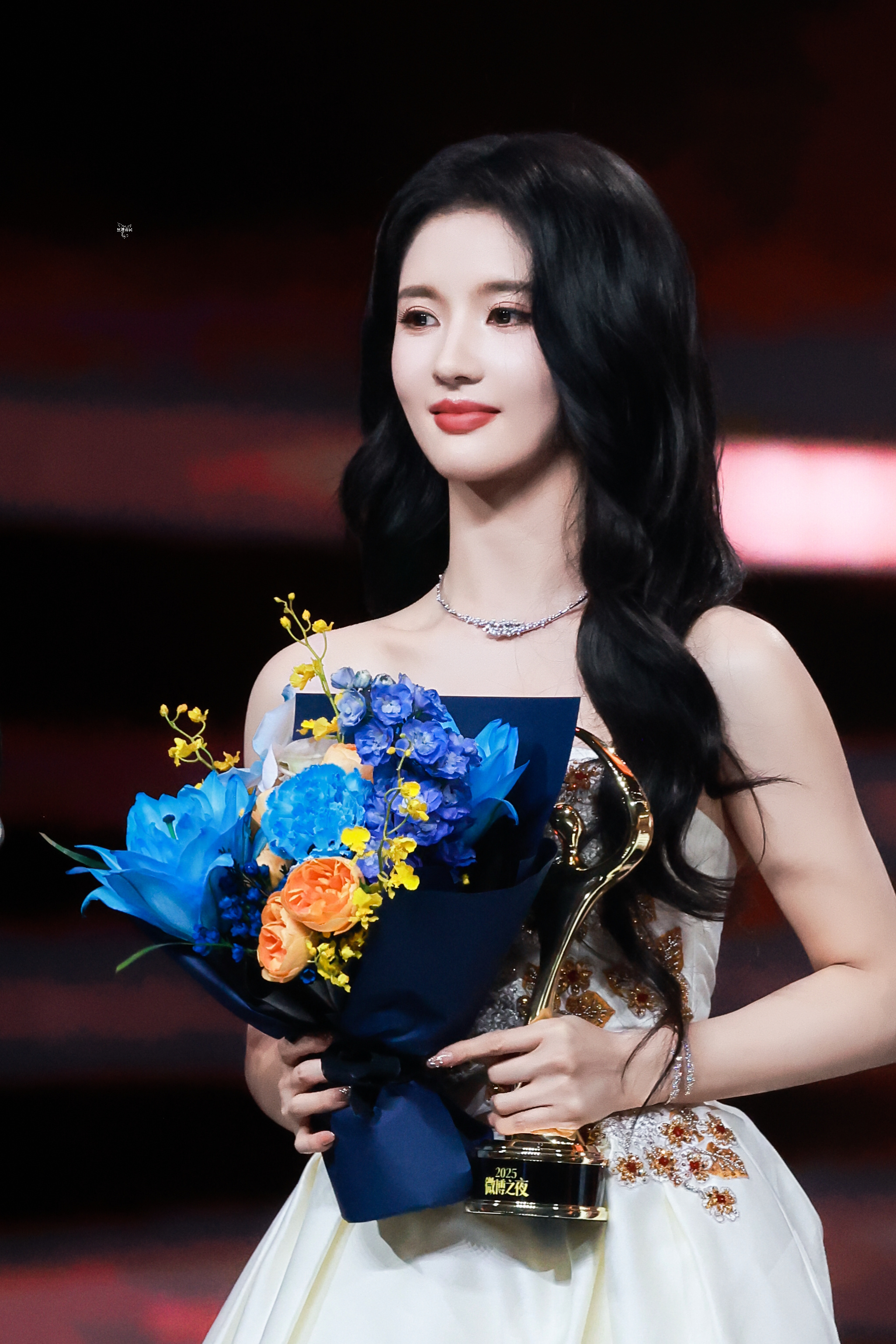 刘些宁 微博年度期待演员 