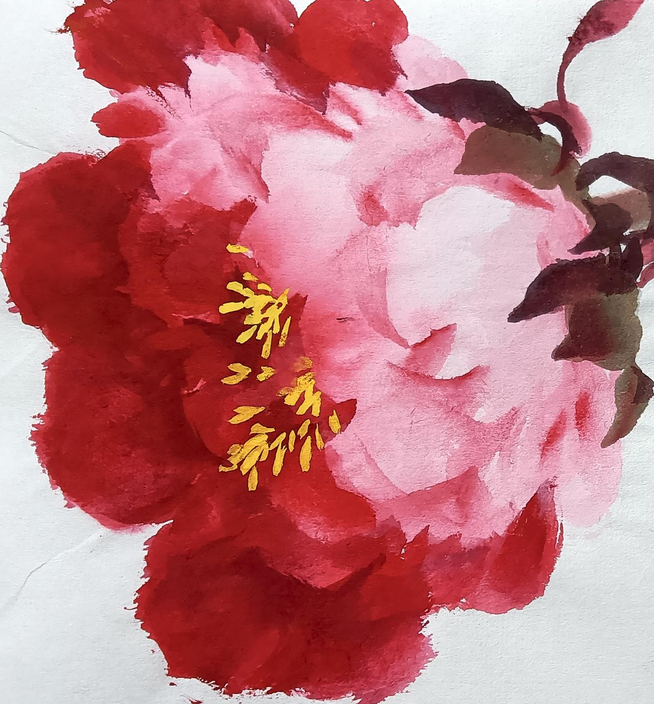 低伏牡丹花朵