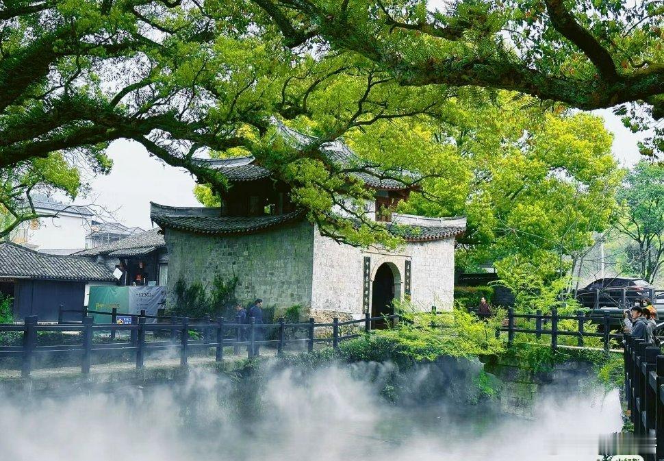 【童话里的绿野仙踪】当你走进古堰画乡，千年的樟树，清澈的溪流，雨后的青砖道，滴水