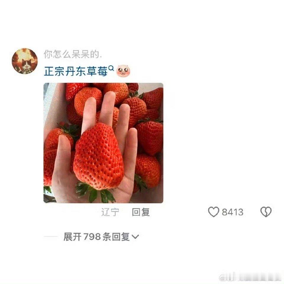 丹东是草莓脑袋的天堂吧 丹东真的是草莓🍓爱好者的天堂啊，能不能把我丢进去关个三
