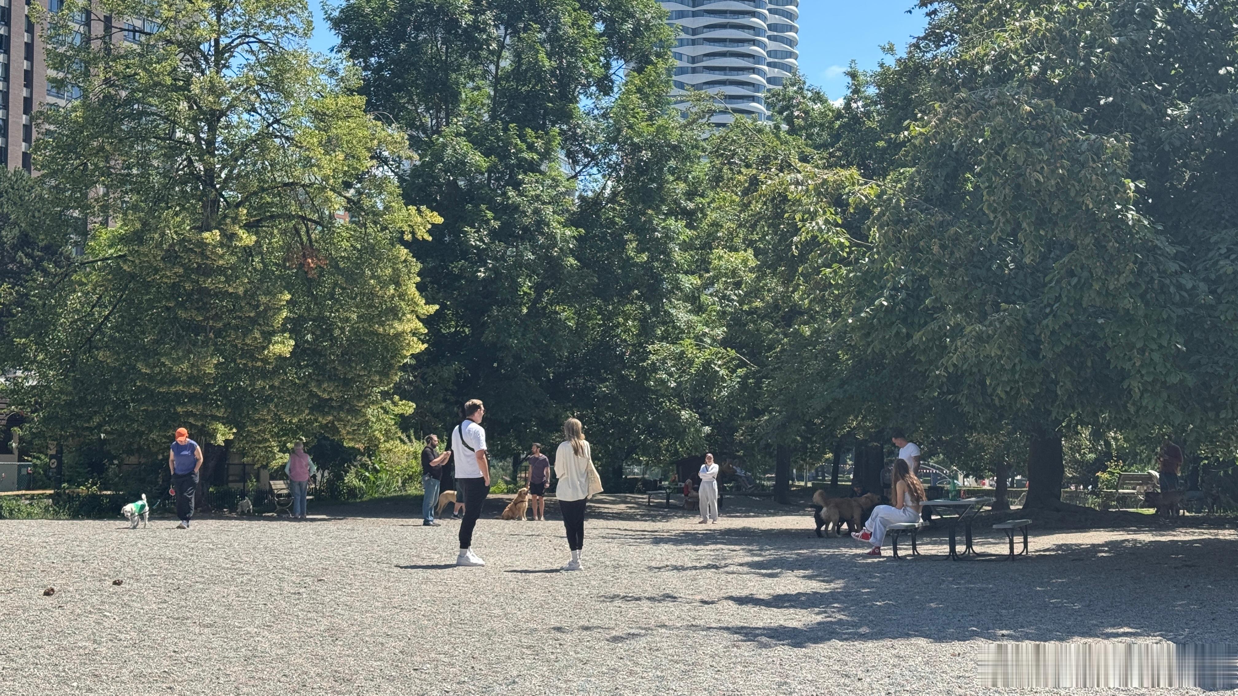 狗公园美如画 