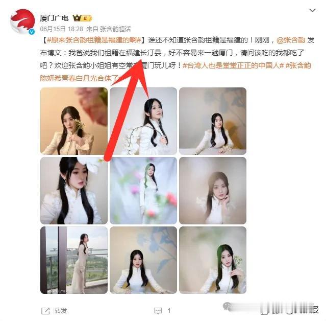 张含韵，也是客家人
《若思念便思念》表现了客家文化与河洛文化的渊源，“客从河洛来