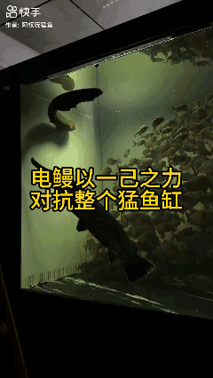 强者从不抱怨环境！💪