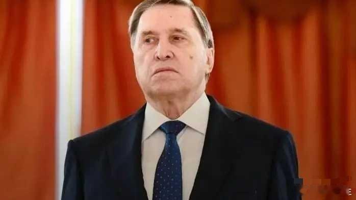 海外新鲜事 10月28日，俄总统助理乌沙科夫表示，俄罗斯对举行美俄领导人之间的峰