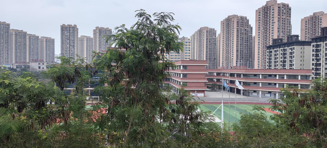 我渡区的李雪芮运动学校（建成一两年了）和李雪芮全民健身中心（已经建好，即将开张）