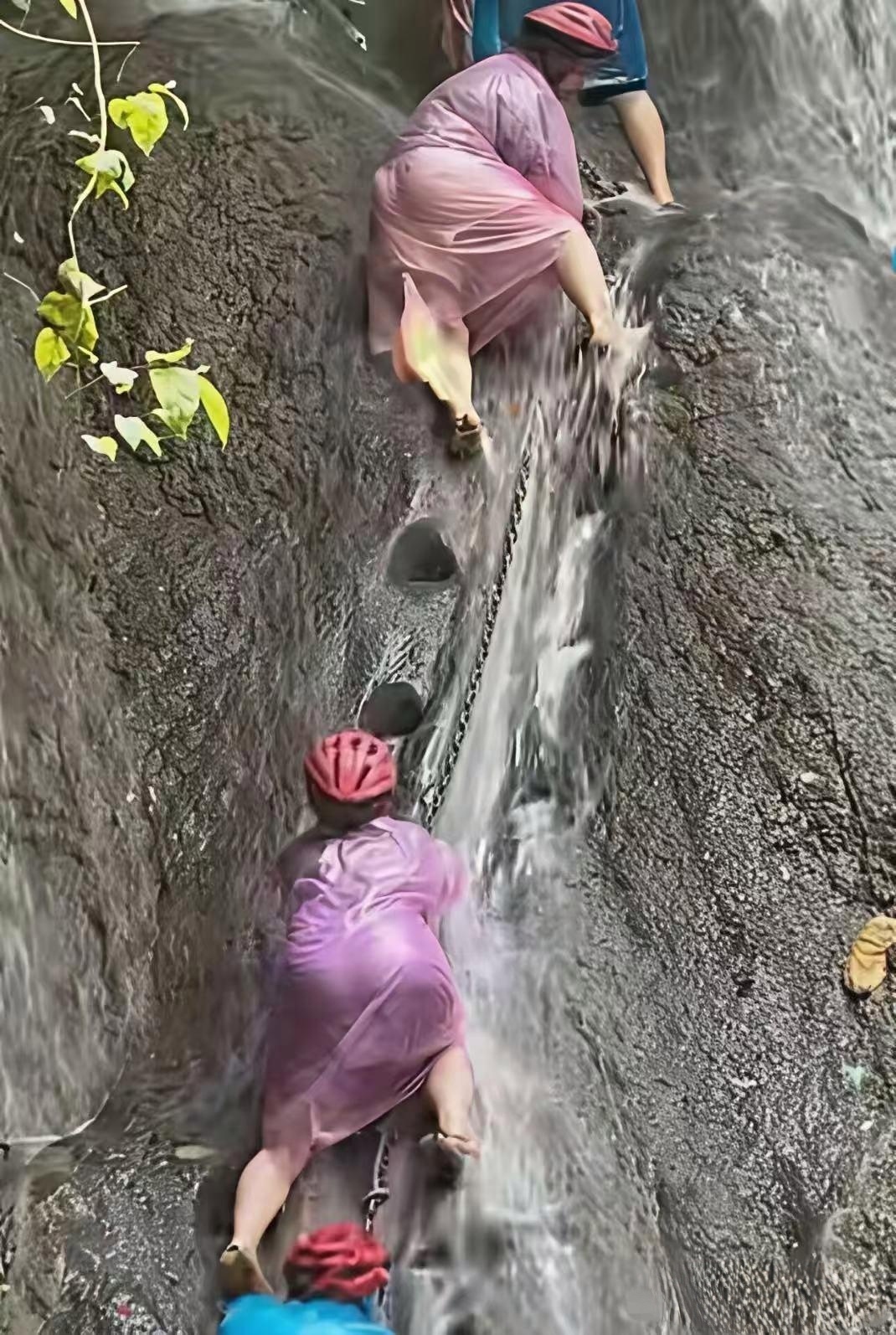 真不明白他们为了啥 
