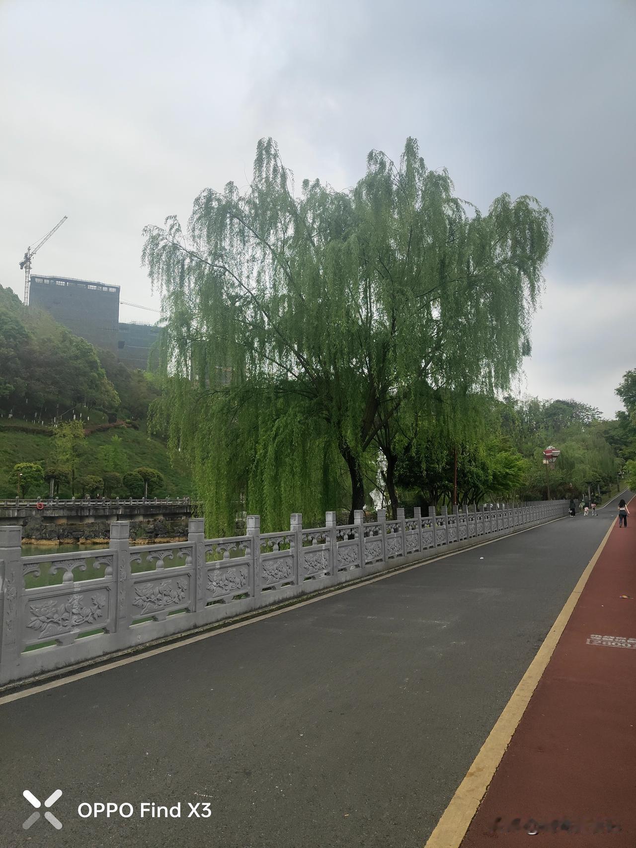 饭后散步，真有那么神吗？俗话说“饭后走一走，活到九十九”，但这“走”可有讲究。