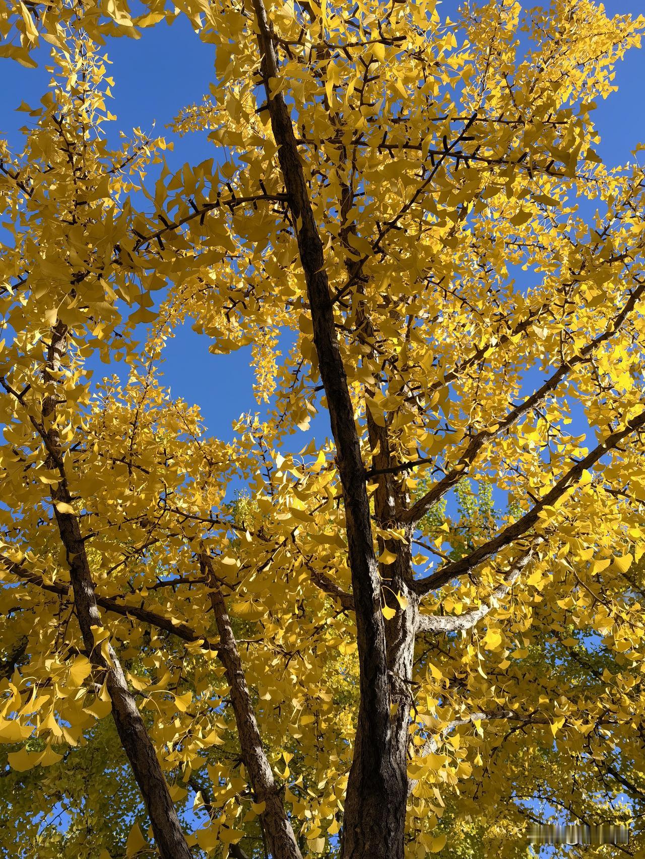 有点意思！泌尿系统堵了疏通一下没问题，眼睛痒了治疗一下也没问题吧，怎么这两件事碰