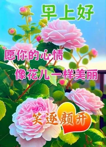 迎着阳光、闻着早晨的青香，
愉悦的心情心花路放。
无论岁月沧桑，快乐幸福永相伴。