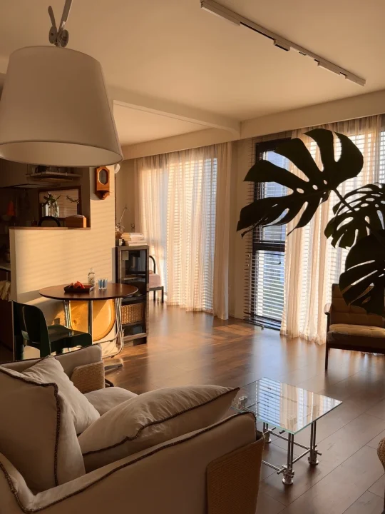 56平一人居｜欢迎✨光✨临