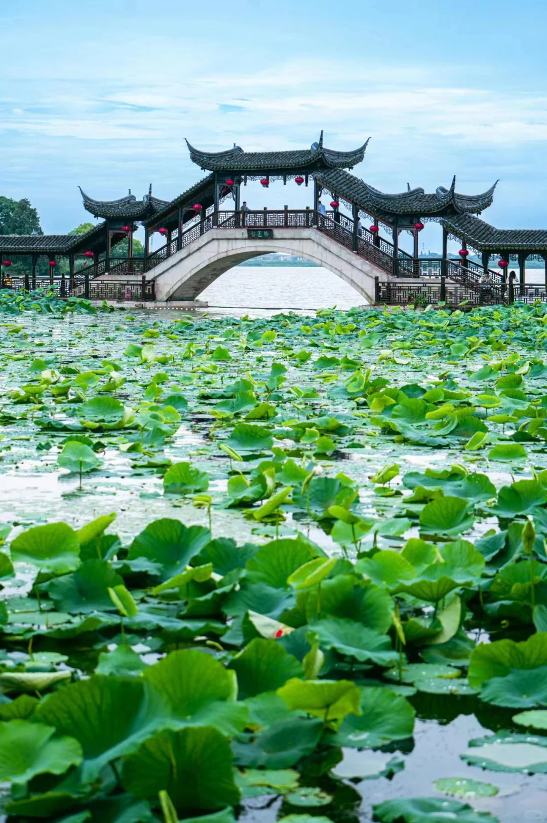 锦溪古镇！周庄旁的小众古镇！