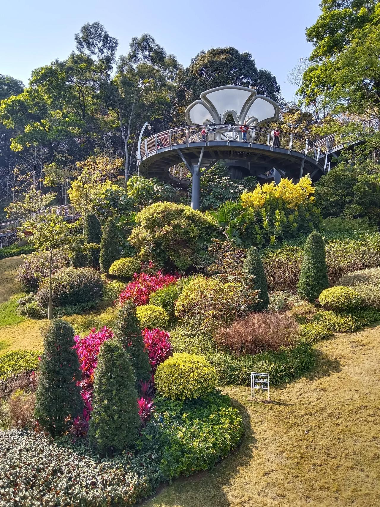 云萝植物园好美，用诗意串起美景
2025年2月1日下午，阳光很好。
广州美景随拍