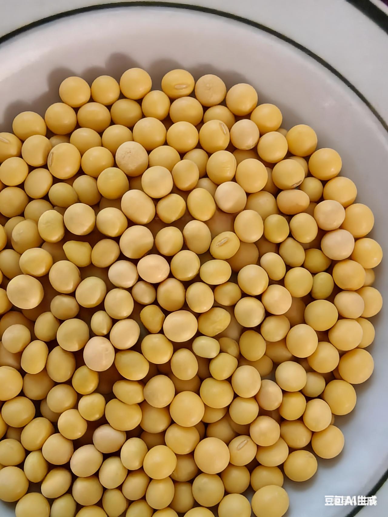 今天买了农民种的黄豆，发觉和超市里的黄豆差异显著。农民种的黄豆大小参差不齐，而超