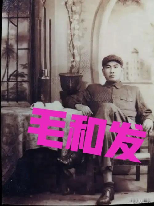 1949年4月，第43军132师师长毛和发率部南下，恰好途经家乡固始。回村路上，