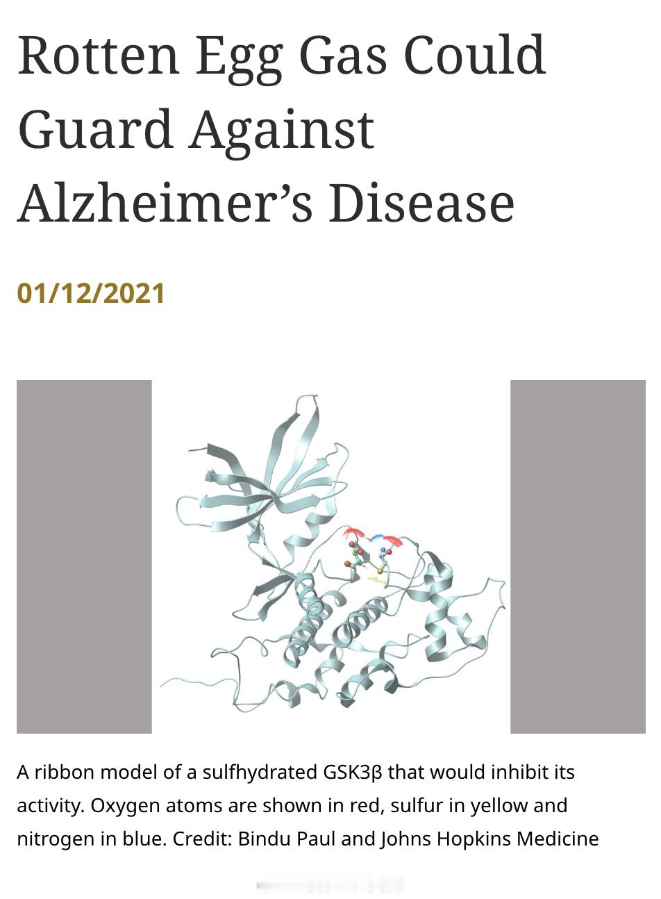 一项来自2021年约翰霍普金斯大学医学机构的研究：闻自己的屁可能提升脑力，抵御老