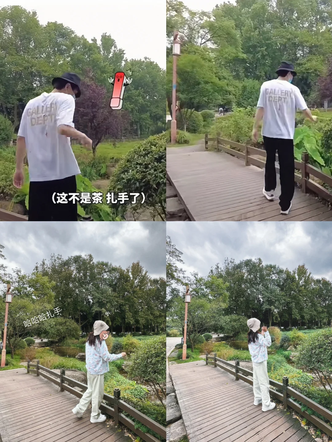游茶园～