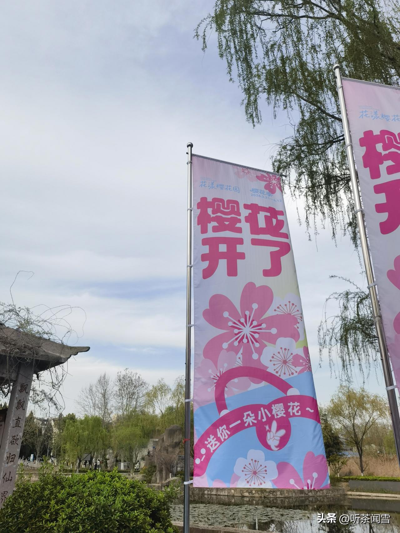 樱花开了
整座春天脱下外套
晾在枝头
我不说想你

池水把倒影
折成粉红的依恋