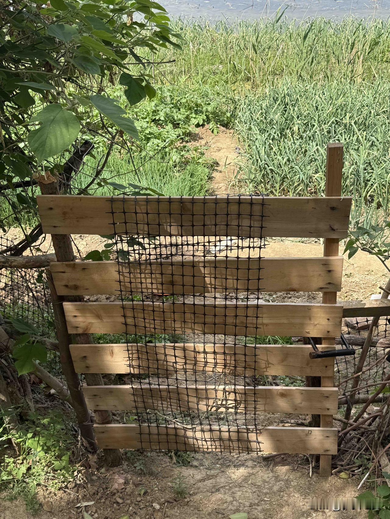 【小对联】
上：……？
下：粮仓。