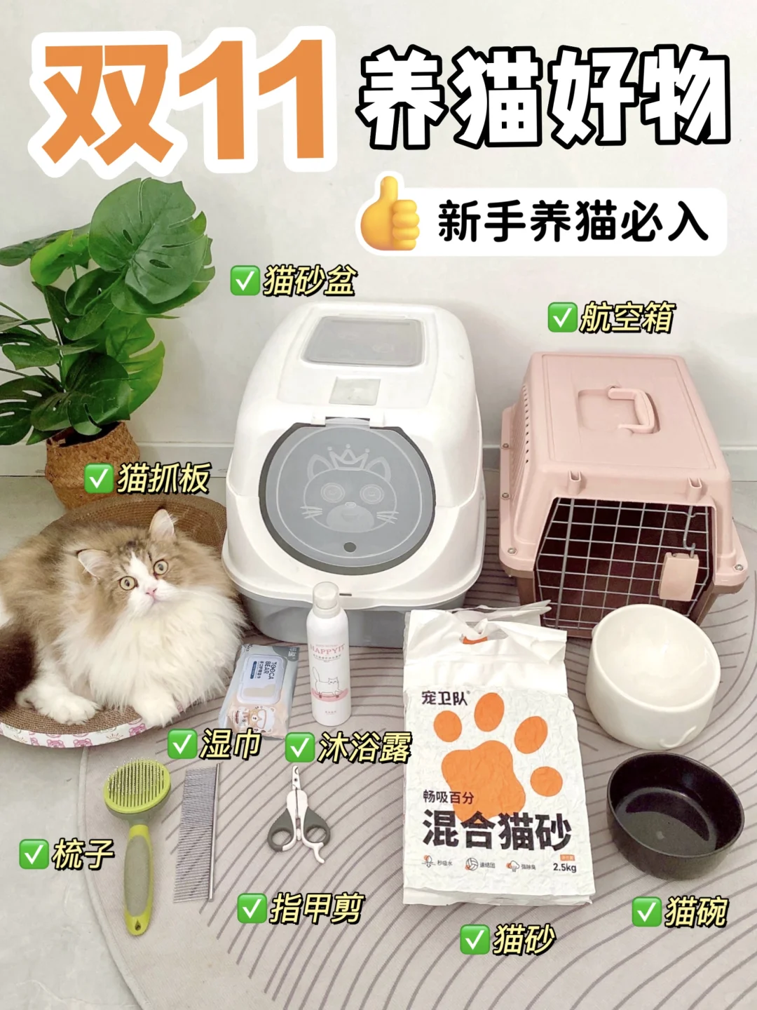 双11养猫新手省钱清单！直接抄作业🛒！