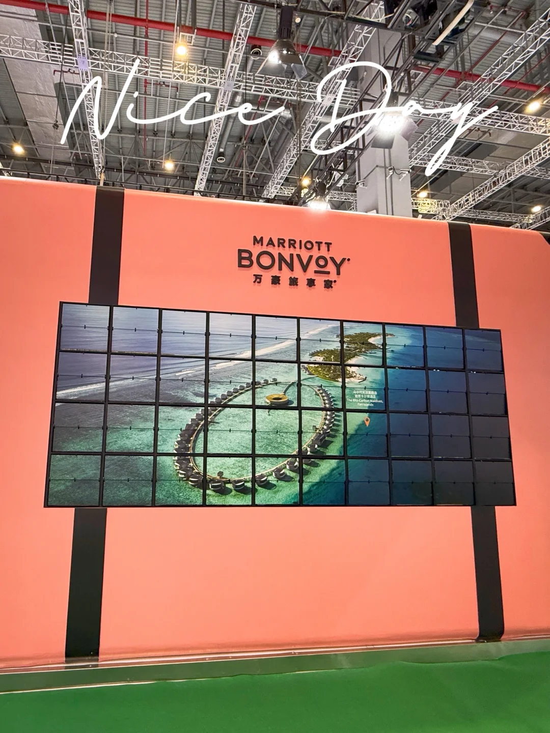 🆘！进博会蕞出片的展台被我挖到了～