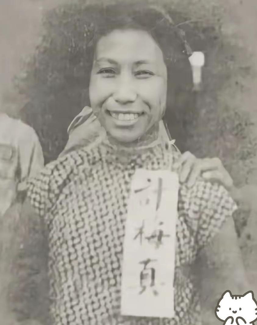 1950年的台湾，特务冲进蔡孝乾的住所，将这位地下党台湾省工委书记押上囚车，搜身