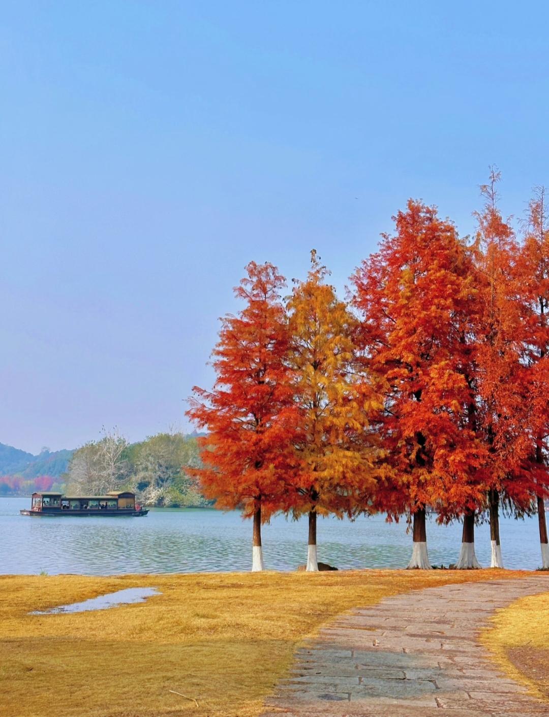 友友们，你们信吗？
原来写微头条是有玄学的?
不用很正儿八经的
去做选题规划构思