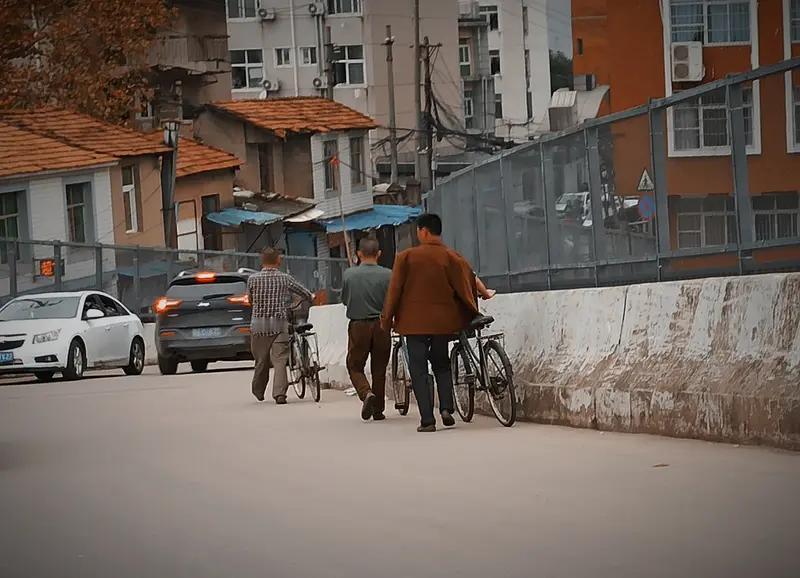 今年春天最想实现的心愿 今年春天，我最想实现的心愿还挺多。
我想踩一次山野晨光，