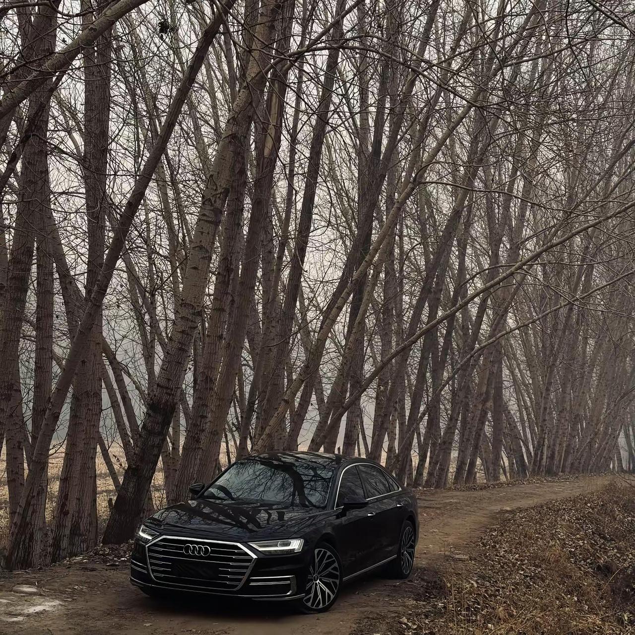 她不喜欢我 我在怎么浪漫都是虚伪