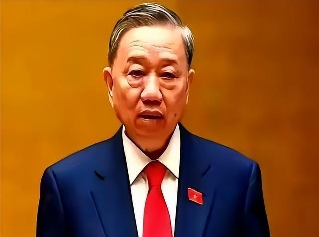 越南这次真是把“反复无常”演绎到了极致！日本驻越大使直接摊牌，百亿美元的宁顺2号