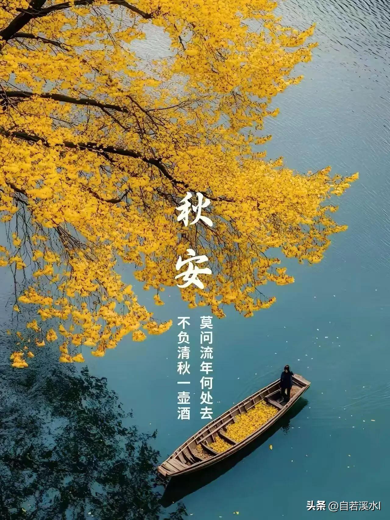 晨光破晓，开启崭新的一日，愿风雨渐远，家人安康，一切皆得安稳，早安。
