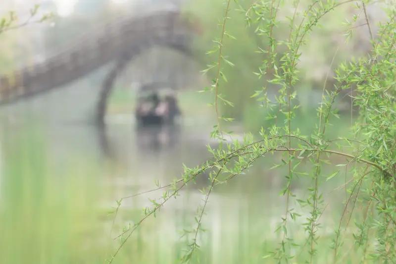 上联：雪浴青松松更翠，如何对下联雪浴青松松更翠，雨润翠柳柳更青。