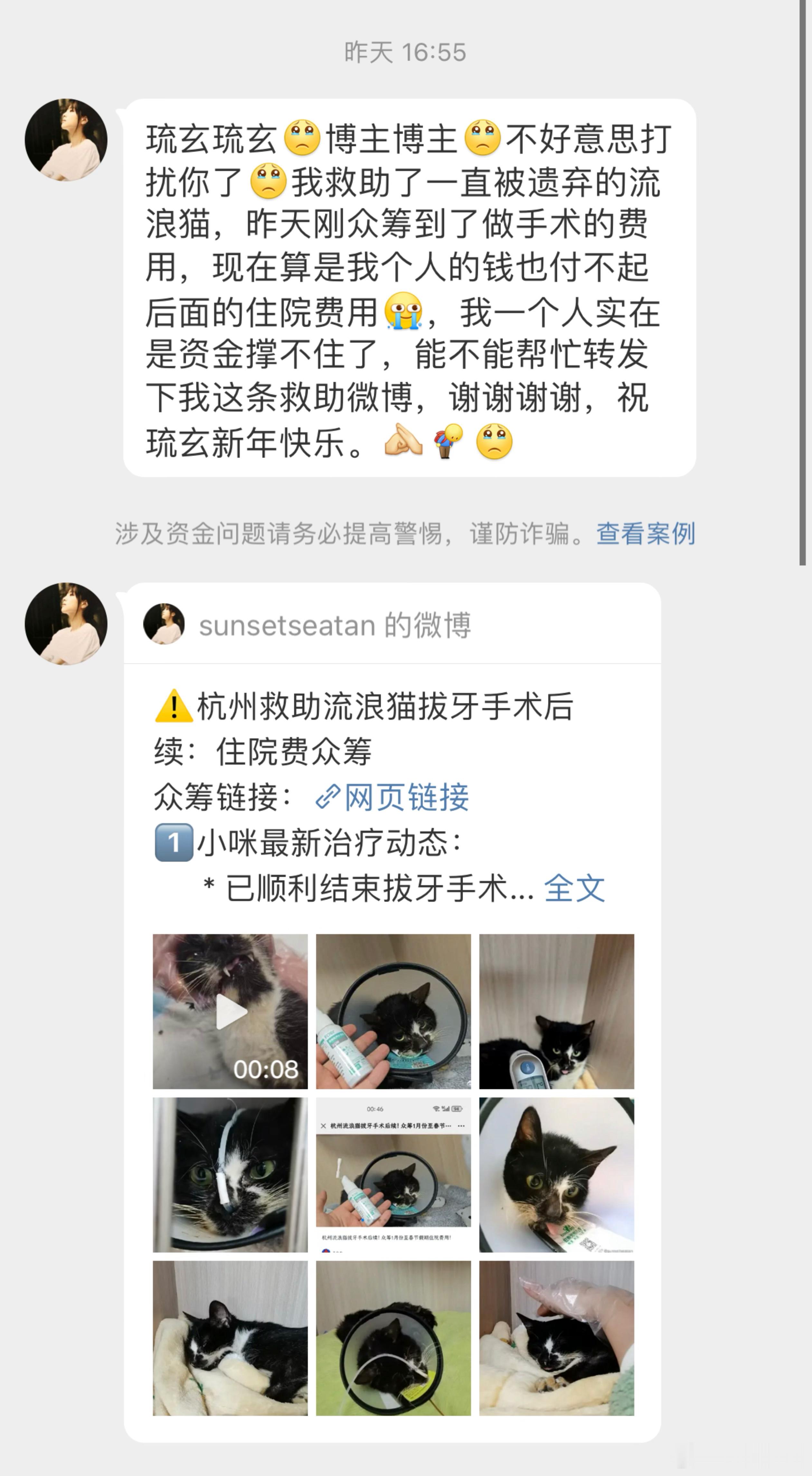 ⚠️网络求助，请自行鉴别⚠️“我救助了被遗弃的流浪猫，昨天刚众筹到了做手术的费用