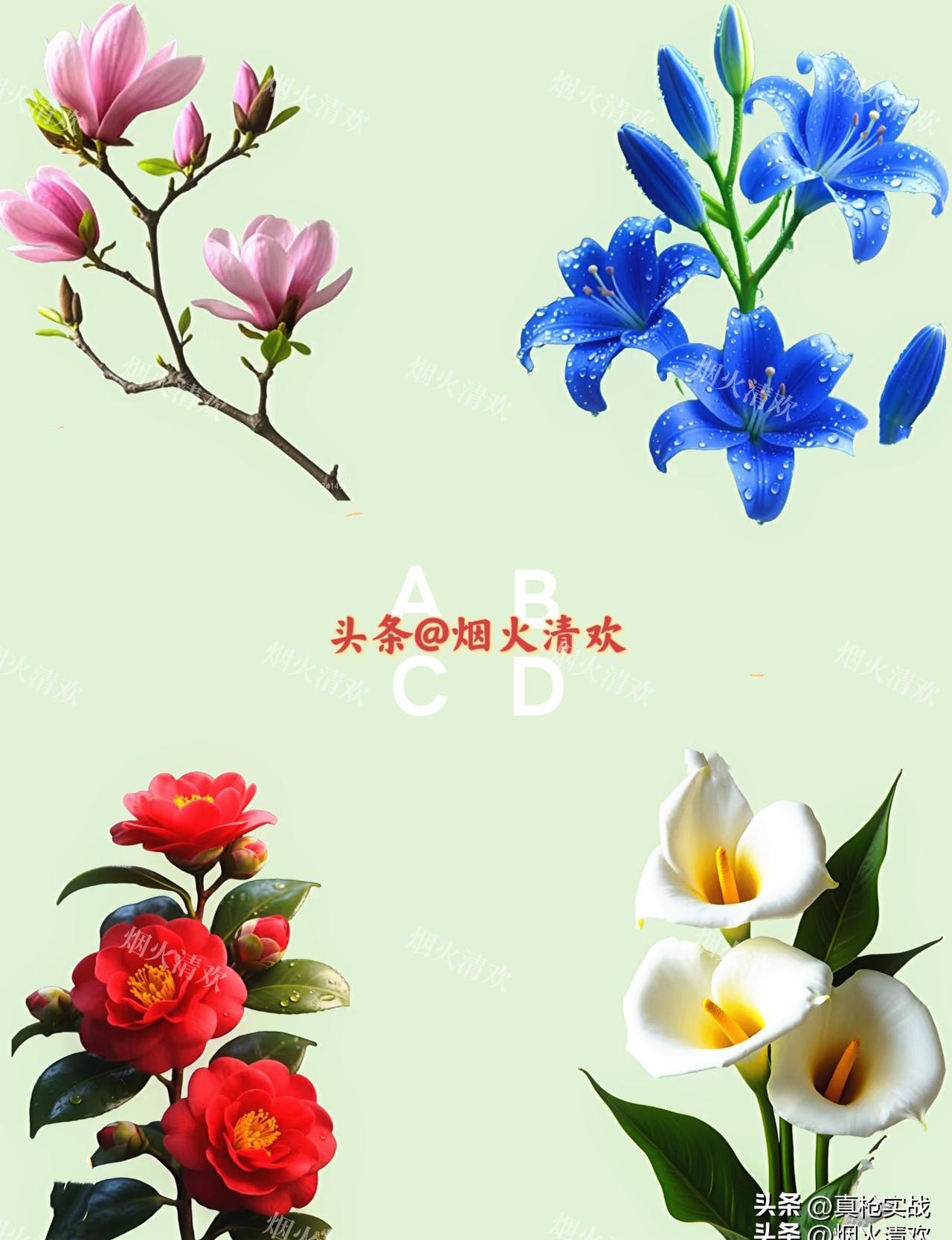 最近刷手机，真是有点哭笑不得，朋友圈、短视频，到处都在问我同一个问题：“老了以后