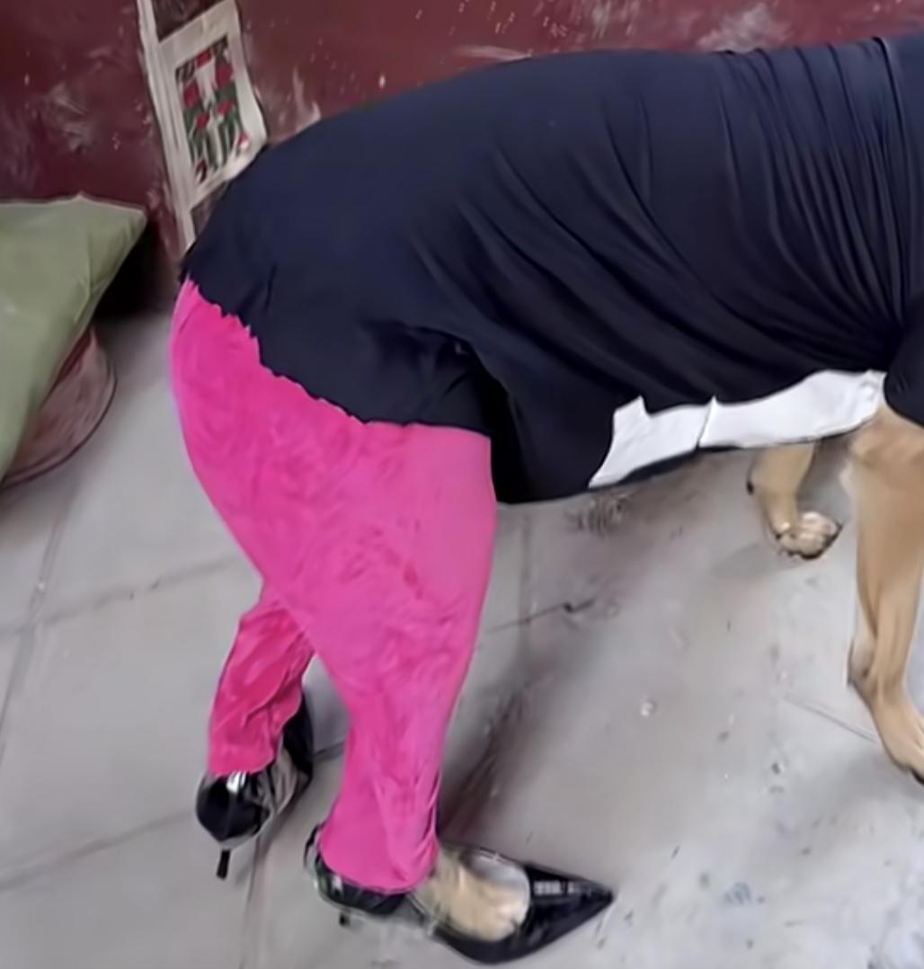 长了一条肥肥小狗腿