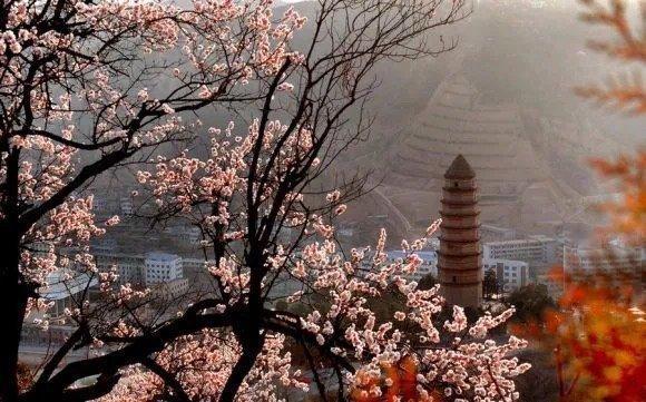 我们一起去探寻陕西春天的美好与浪漫，踏青出行，和春天来一次约会~ 