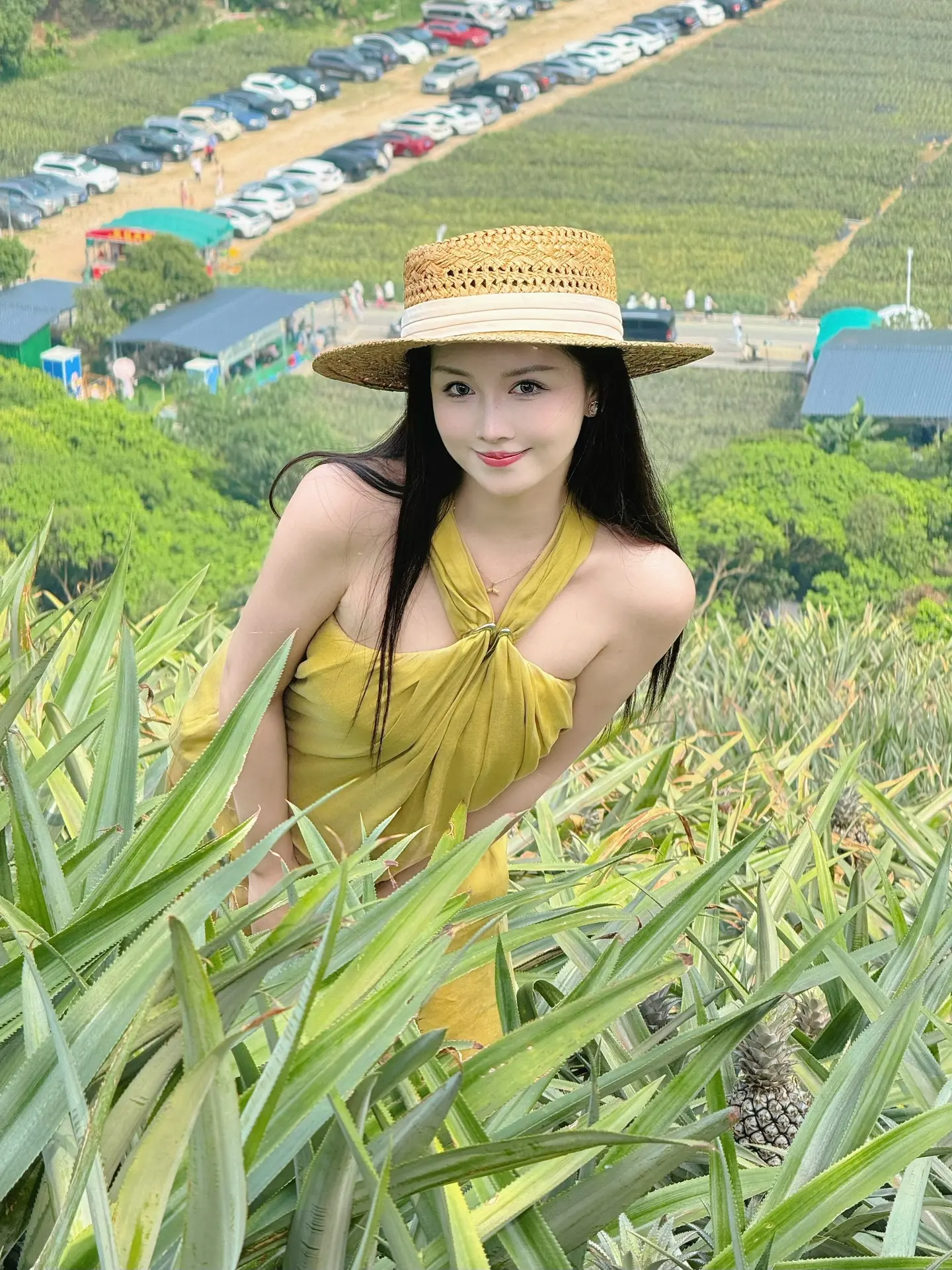采摘日🍍菠萝自由啦